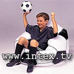 �������� ������ "���������� ���" 108x110x66�� intex-68557