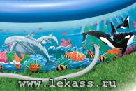 intex 54902 -    30576   