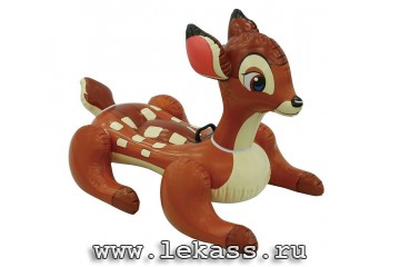 intex 56555 -    Disney