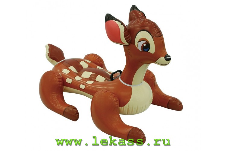 intex 56555 -    Disney