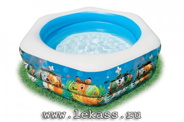 intex 57496 -    Disney ( )