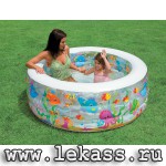     "" 15256 ( ) intex 58480