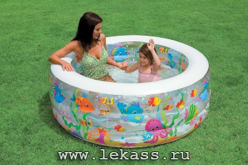 intex 58480 -    ( )