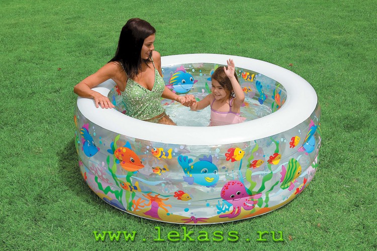 intex 58480 -    ( )