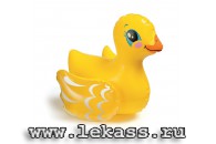 intex 58590 -   (9 )