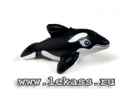 intex 58590 -   (9 )